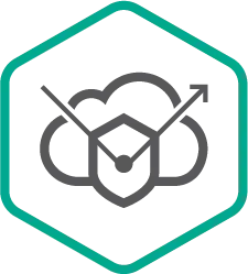 Kaspersky DDOS Protection